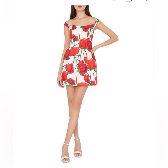 Milly Floral Red Peony Jacquard Mini Dress NWT Size 10 - Picture 4 of 4